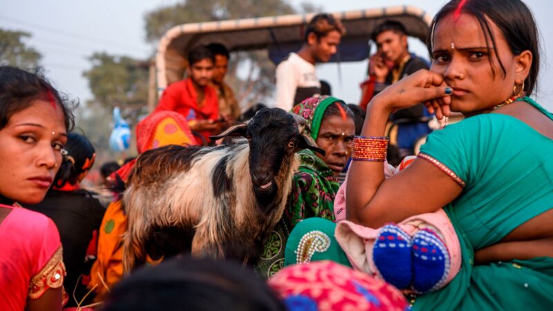 Gadhi Mai Panchabarshiya Mela