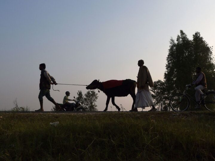गढ़ीमाई मंदिर कसरी पुग्ने
