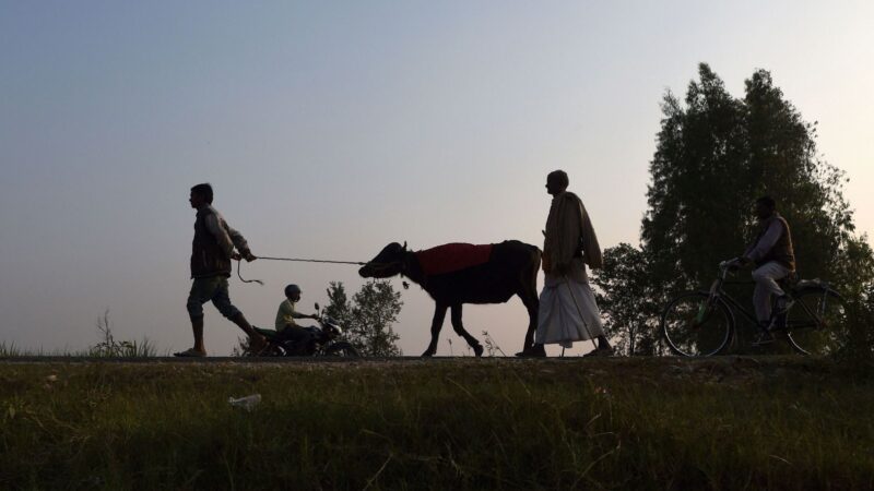 गढ़ीमाई मंदिर कसरी पुग्ने